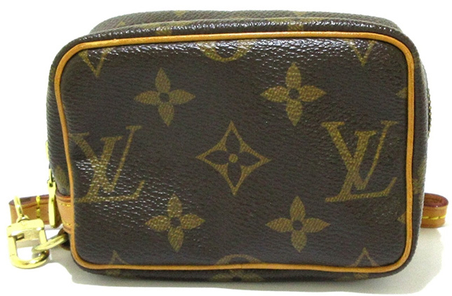 Louis Vuitton Wapity Case 4