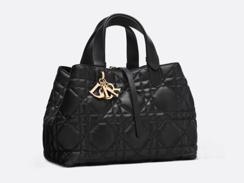 dior toujours bag prices