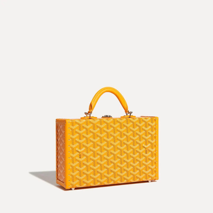Goyard Grand Hotel Trunk Bag Bragmybag
