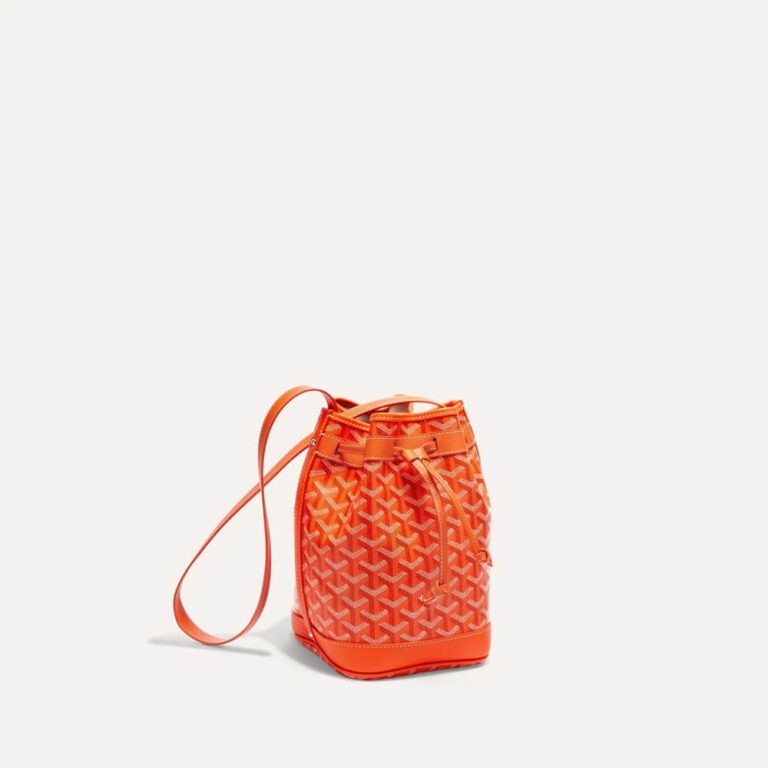 Goyard Petite Flot Bag Bragmybag