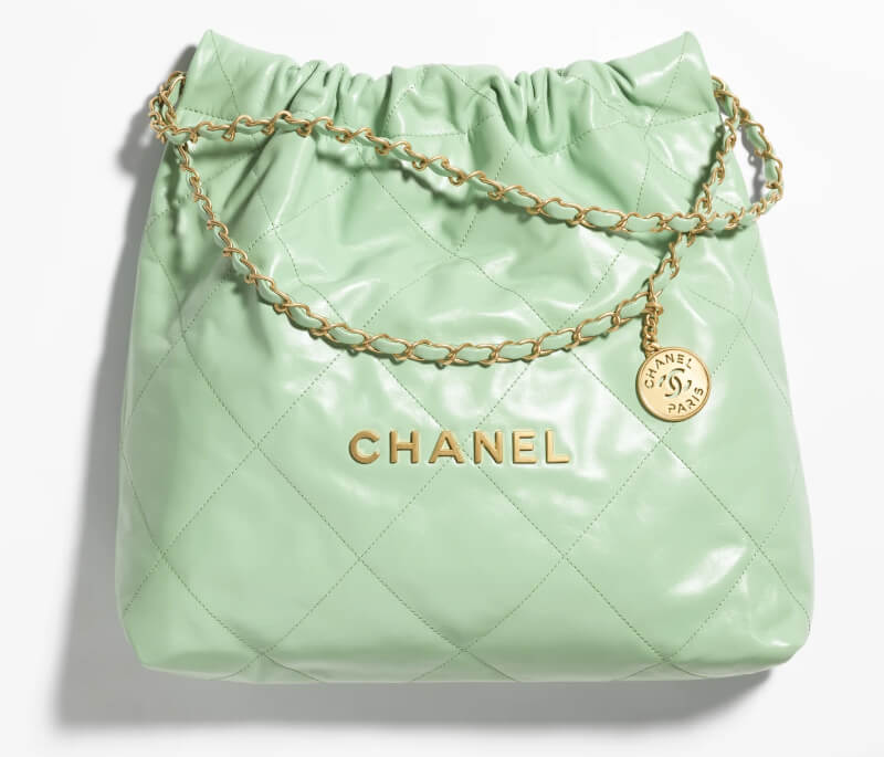 Chanel CHANEL 22 Handbag in Shiny Calfskin 