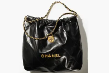 Chanel 22 Bag featured images