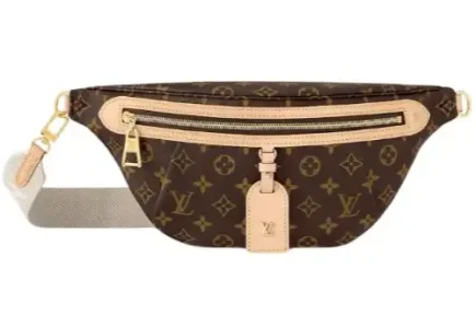 louis vuitton high rise bum bag main image