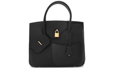 Hermes Bir in En Desordre 30 Bag in Togo Swift Featured image