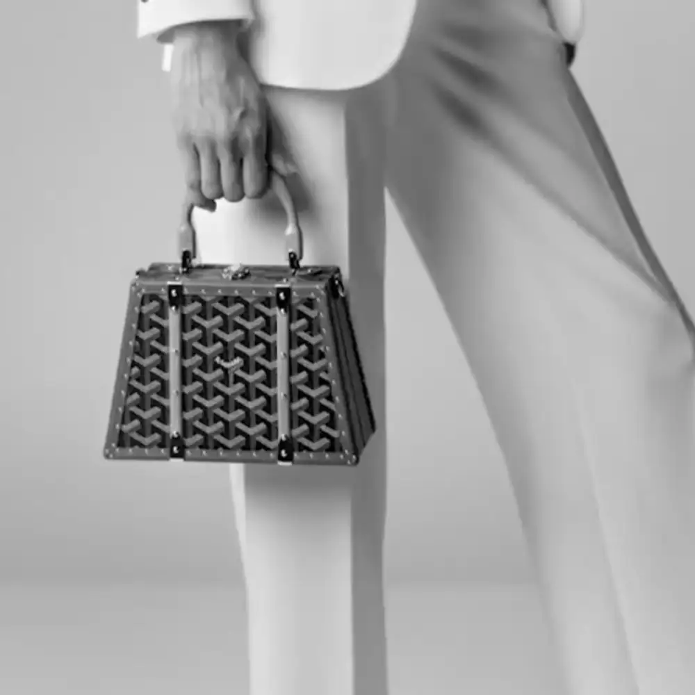 Goyard Saigon Mini Trunk Bag Model shots 2