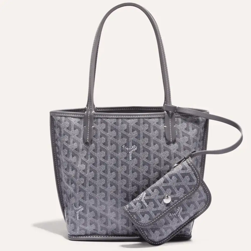Goyard anjou mini bag 11b