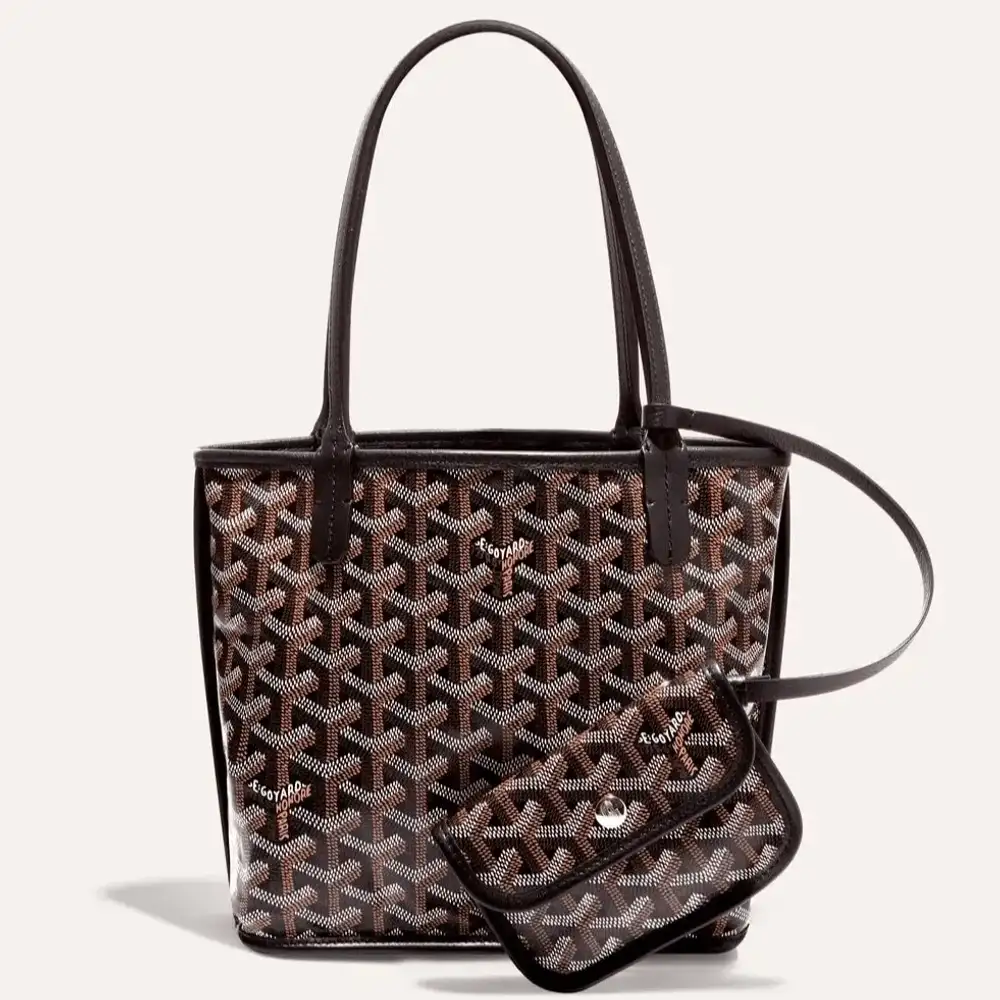 Goyard anjou mini bag 1b
