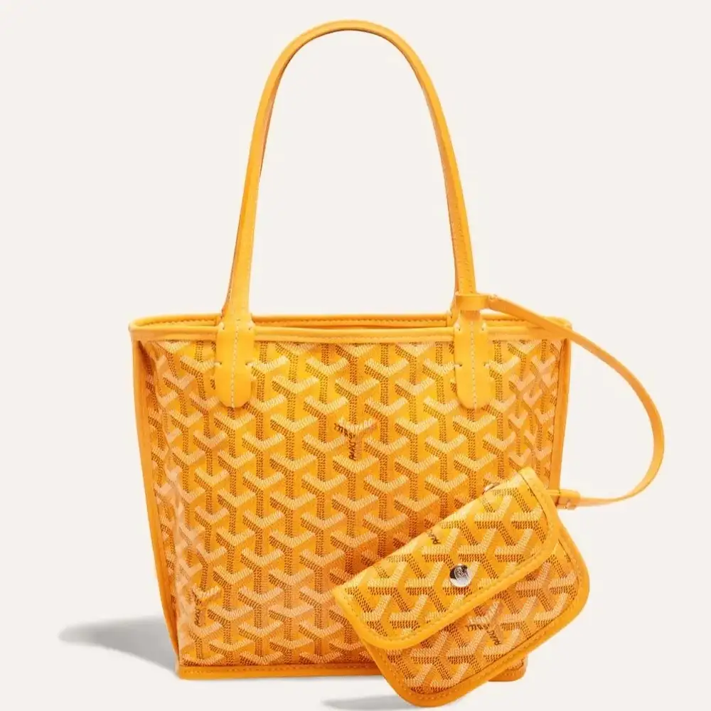 Goyard anjou mini bag 5b