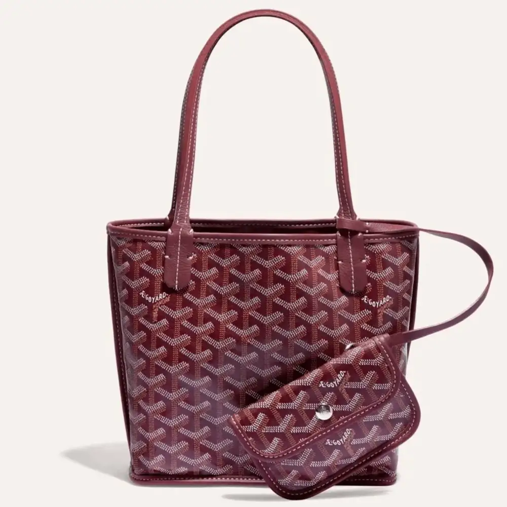 Goyard anjou mini bag 9b