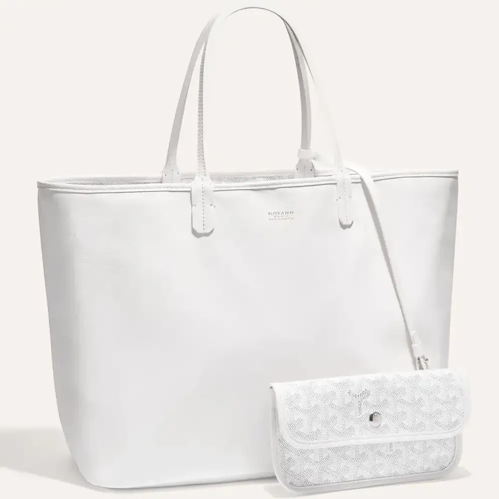 Goyard anjou pm bag 10a