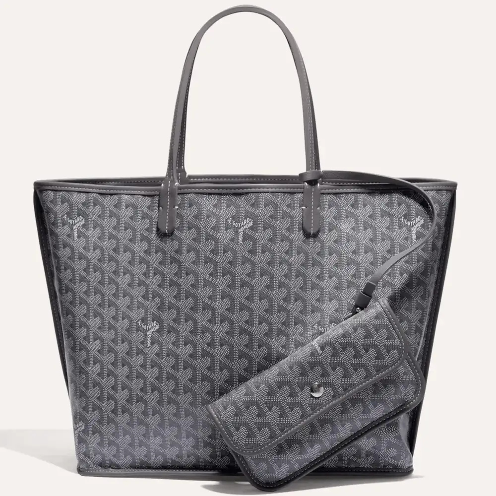 Goyard anjou pm bag 11b