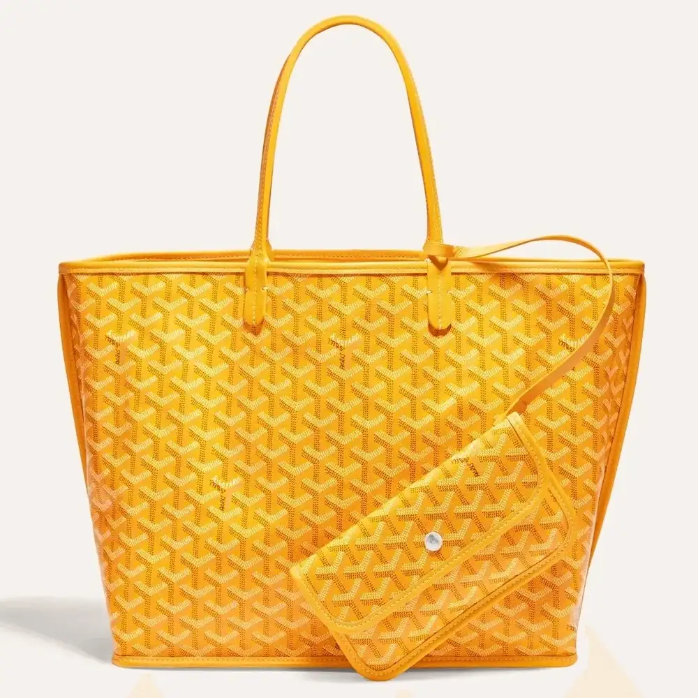 Goyard anjou pm bag 5b