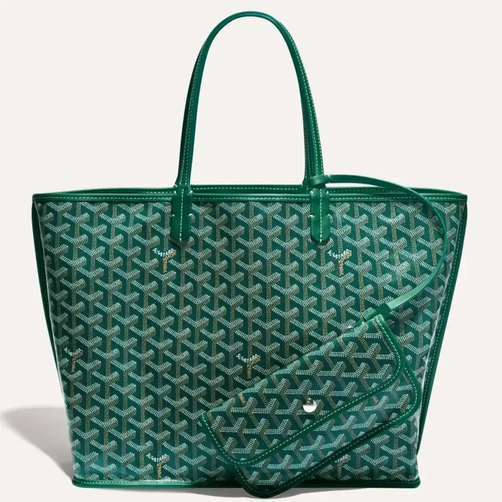 Goyard anjou pm bag 6b