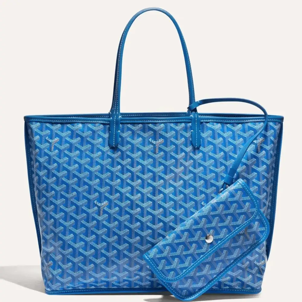 Goyard anjou pm bag 7b