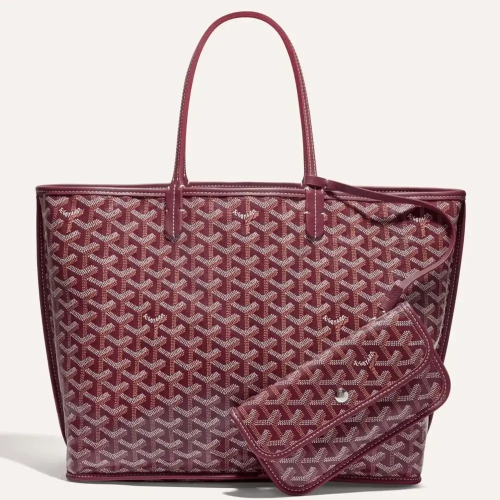 Goyard anjou pm bag 9b