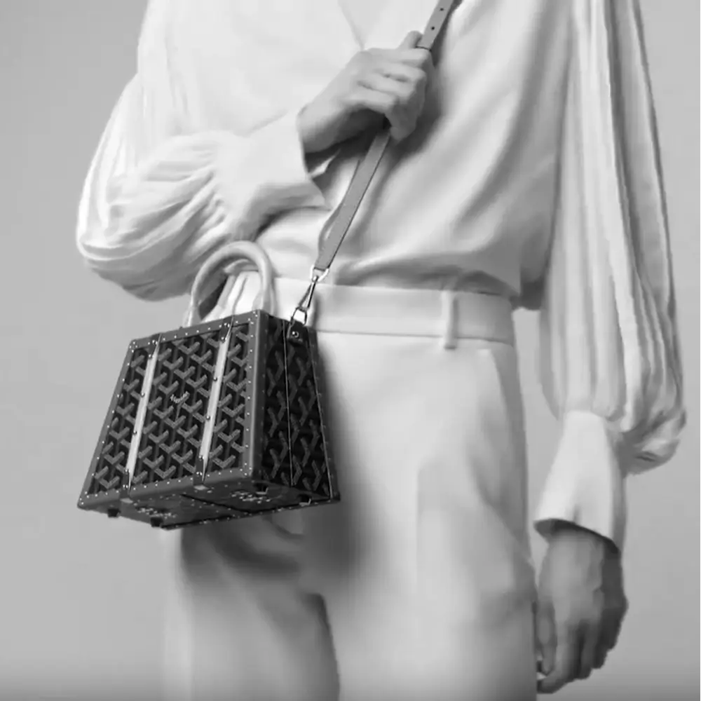 Goyard Saigon Mini Trunk Bag Model shots 2