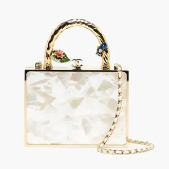 Chanel evening bag mother of pearl enamel gold tone metal AS6650B26667UF236 (1)