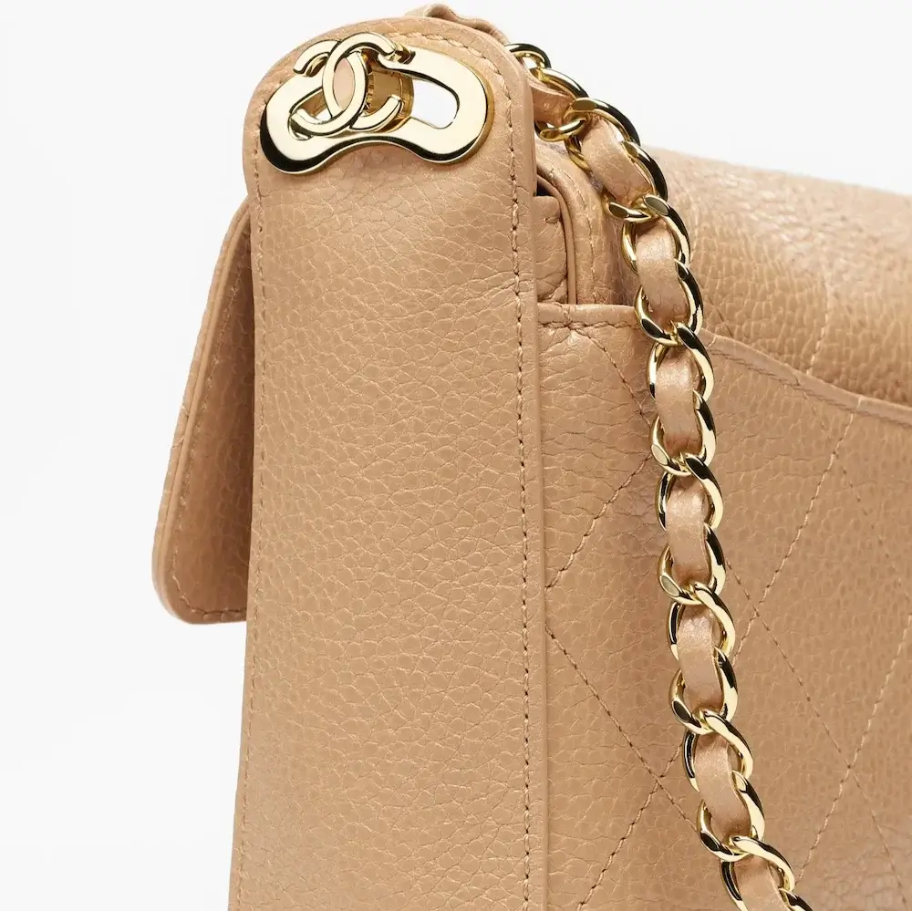 Chanel Small Flap Bag angle view